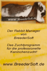 Banner Rabbitmanager ZDRK